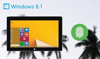 Buy Windows 8.1 Pro