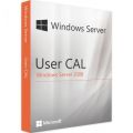 Windows Server 2008 - 20 User CALs, Client Access Licenses: 20 CALs, image 