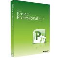Project Professional 2010, image 