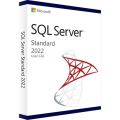 SQL Server 2022 Standard - 20 User CALs, Client Access Licenses: 20 CALs, image 