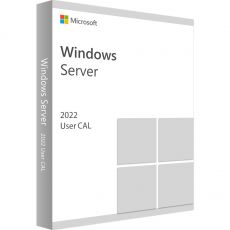 Windows Server 2022 Standard - User CALs, Client Access Licenses: 1 CAL, image 