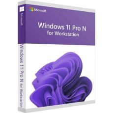 Windows 11 Pro N for Workstation, image 