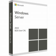 Windows Server 2022 RDS - 10 User CALs, Client Access Licenses: 10 CALs, image 