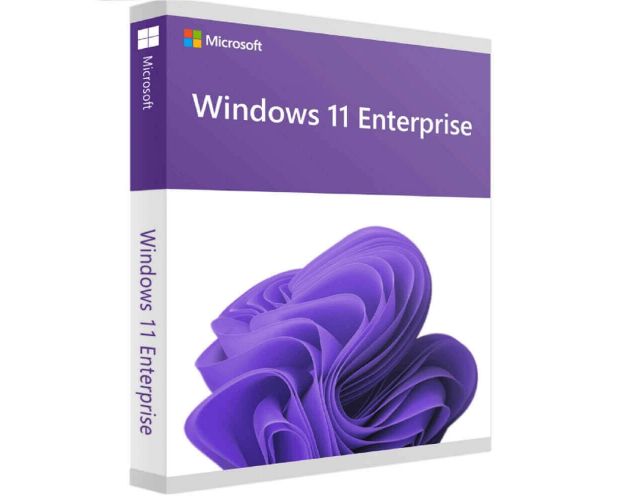 Windows 11 IoT Enterprise, image 