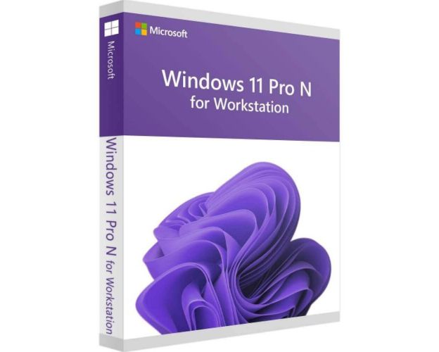 Windows 11 Pro N for Workstation, image 